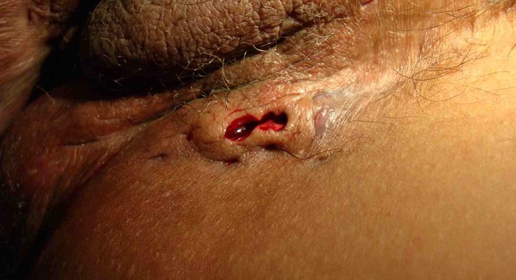 Contenant pour m�dias