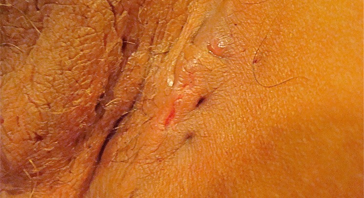 Contenant pour m�dias